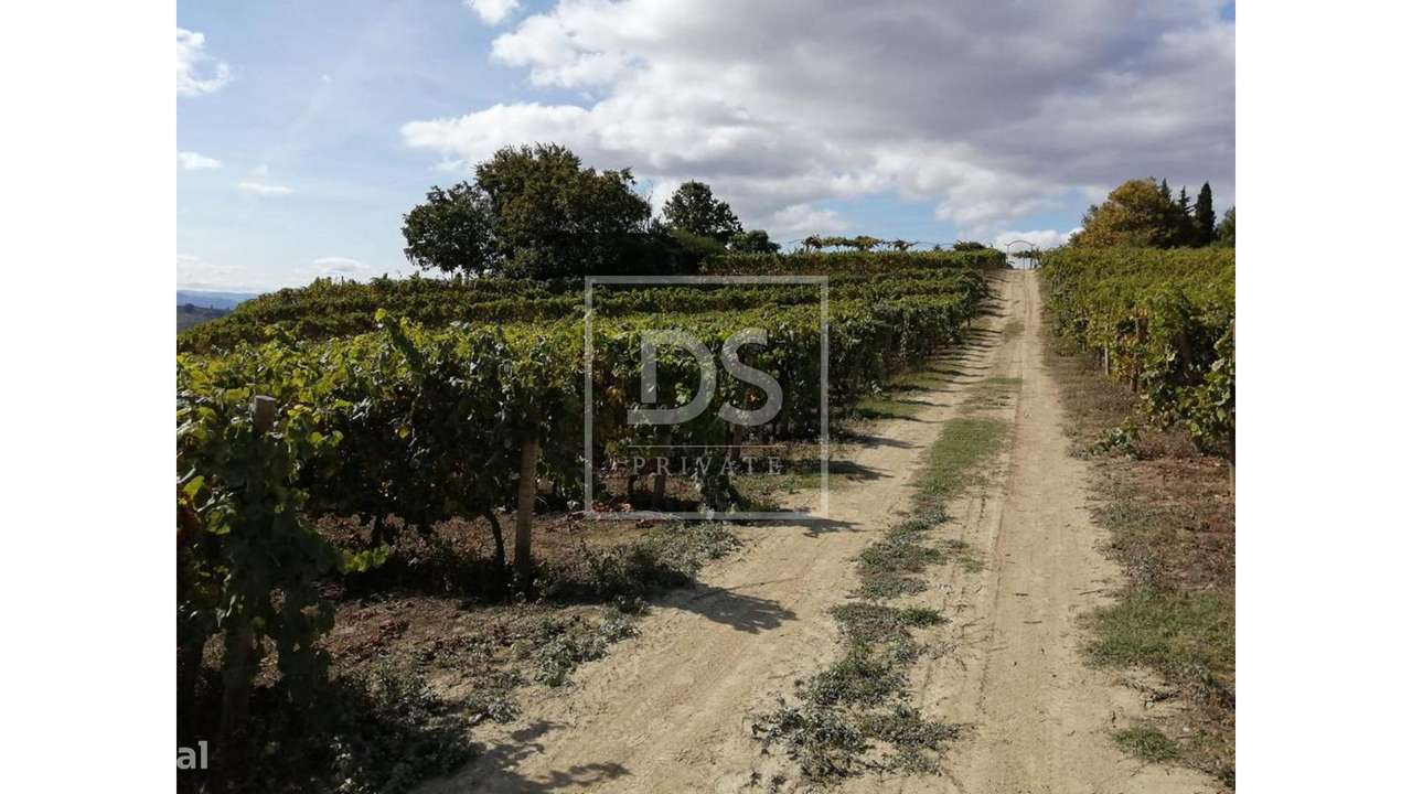 Quinta da Cumeira-15