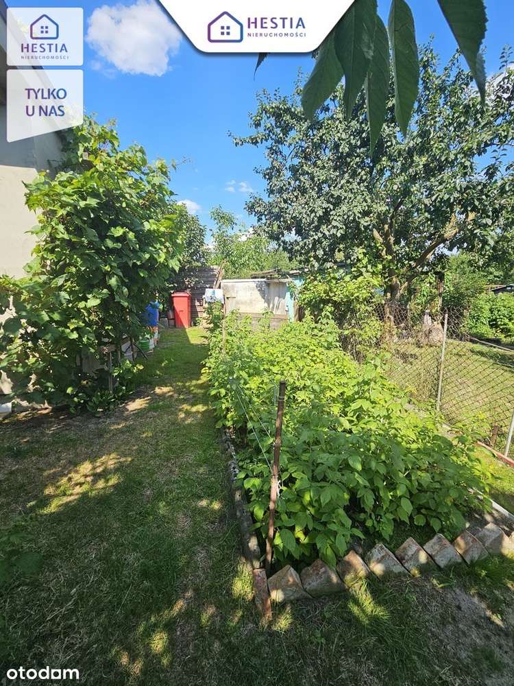 Piękna zagospodarowana działka ROD!! - Pełny obrazek: 2/11