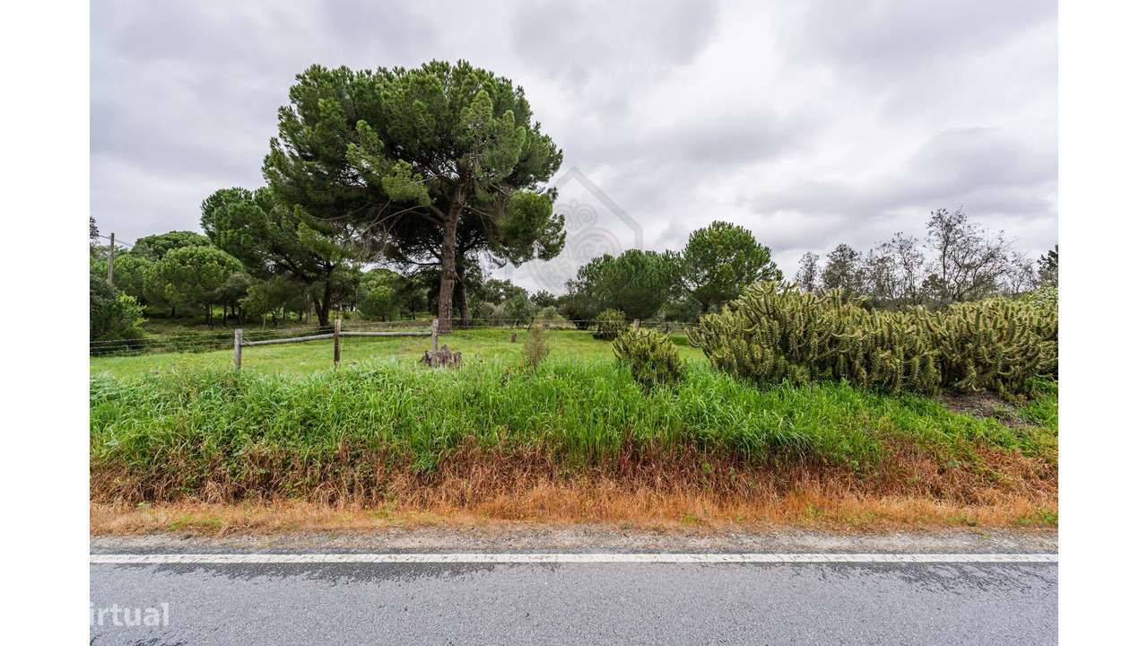 Moradia Isolada a 1 Hora de Lisboa - Grande imagem: 4/44