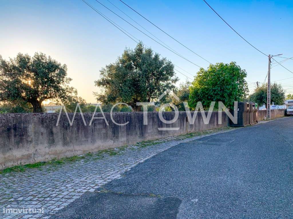 Imóvel Estratégico em Alcanena para Projeto Empresarial ou Residencial-15