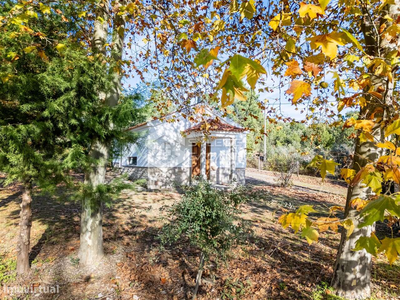 Quinta T3 Venda em Castelo Novo,Fundão-19