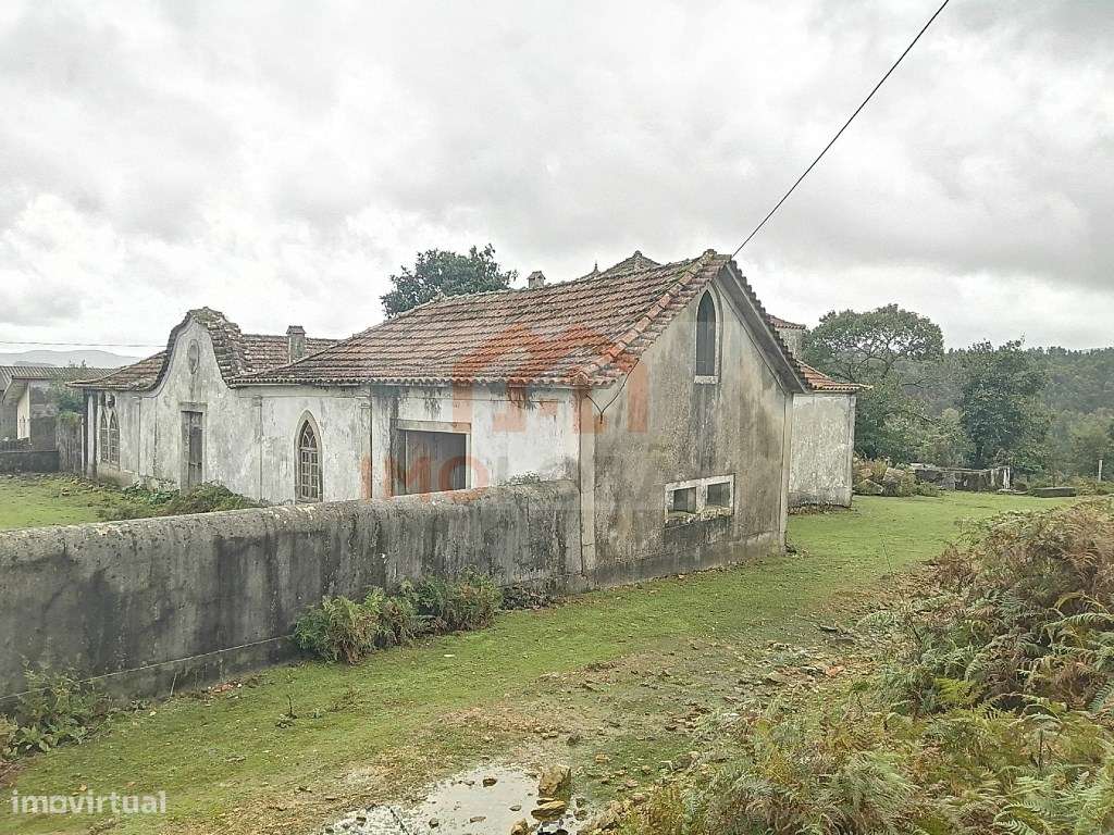 QUINTA - GIÃO-8