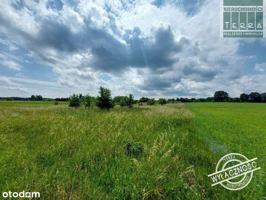 Działka w Przytoku - Pełny obrazek: 4/9