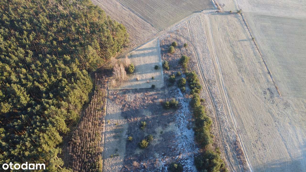 Działka rolna przy lesie  9893 m², Postolin k. Milicza-3