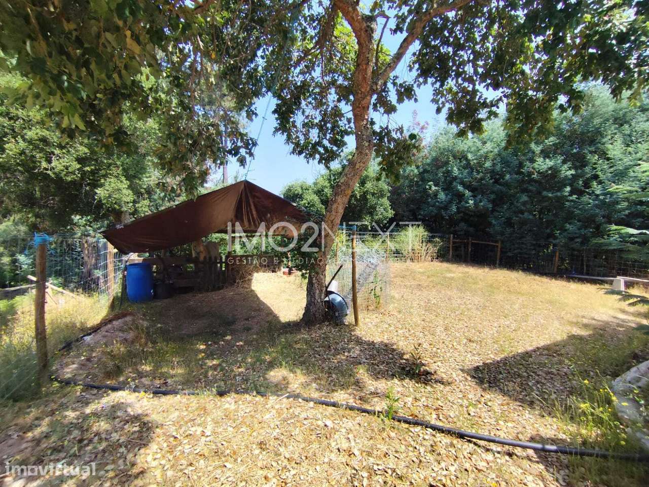 Terreno Rústico com Piscina e Bungalow || Azabucho || Pousos || Leiria-21