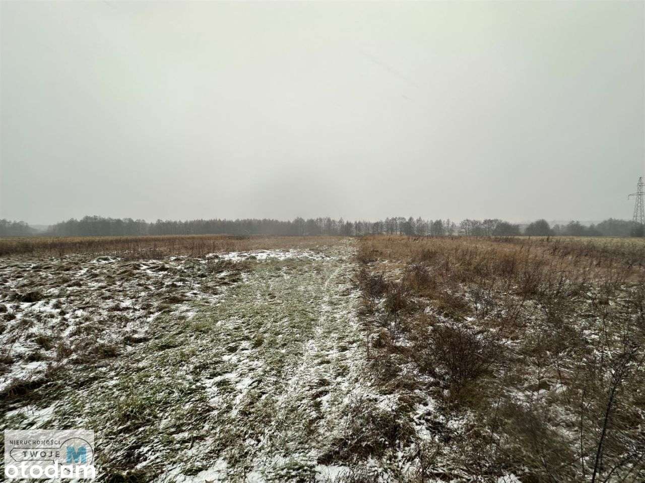 Działki rolne z lasem w Śladkowie Dużym-11