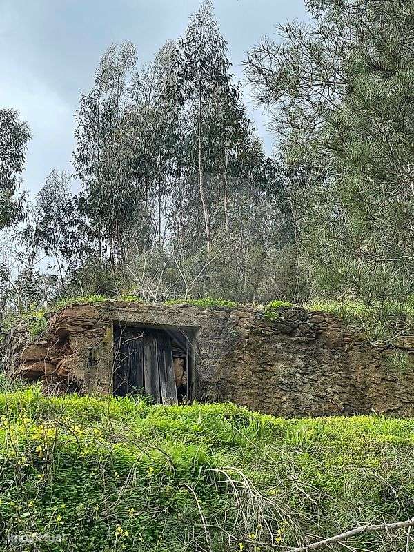 Terreno  para venda - Grande imagem: 5/9