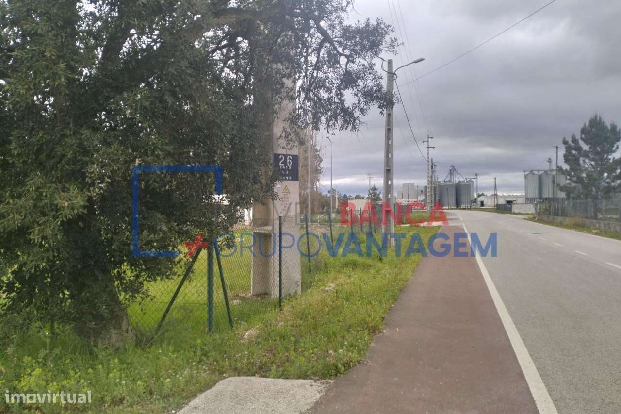 Terreno Rústico em Salvaterra de Magos - Grande imagem: 3/6