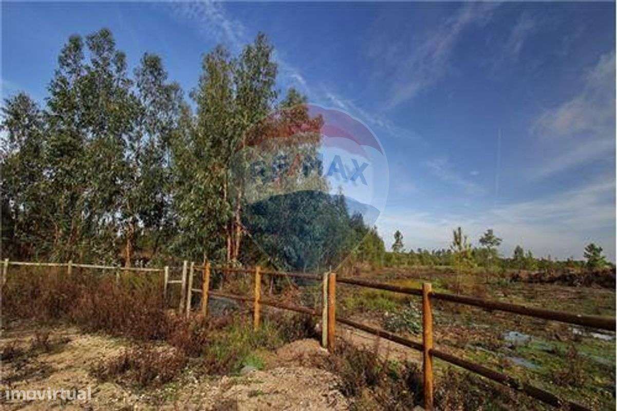 Terreno  para venda - Grande imagem: 2/4