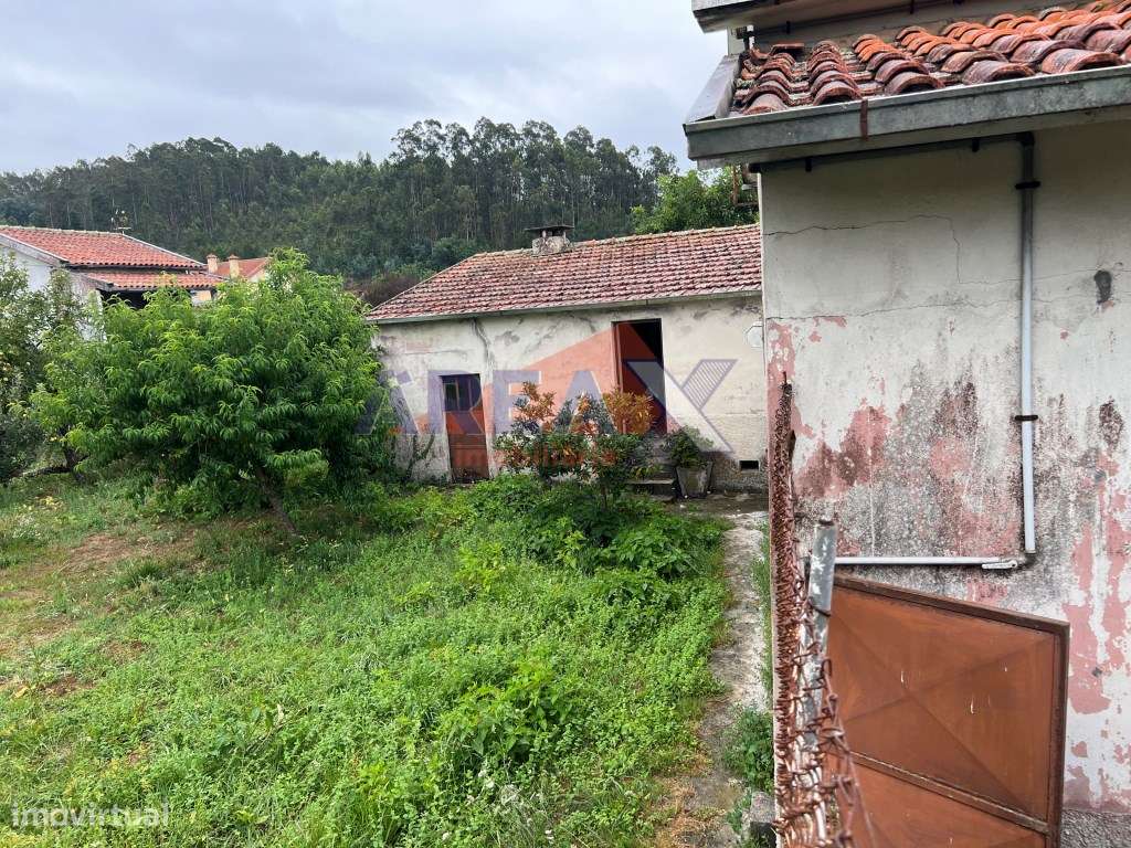 Oportunidade: 2 casas + artigo rústico com 2,0648 ha, perto de Oliv...-25