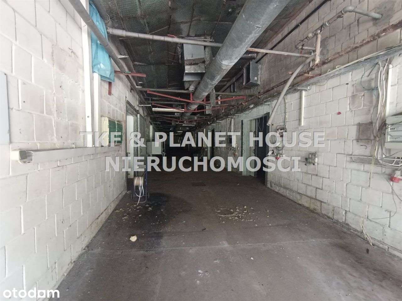 Hala na wynajem 2370 m2 Piotrków Tryb. - Pełny obrazek: 4/9