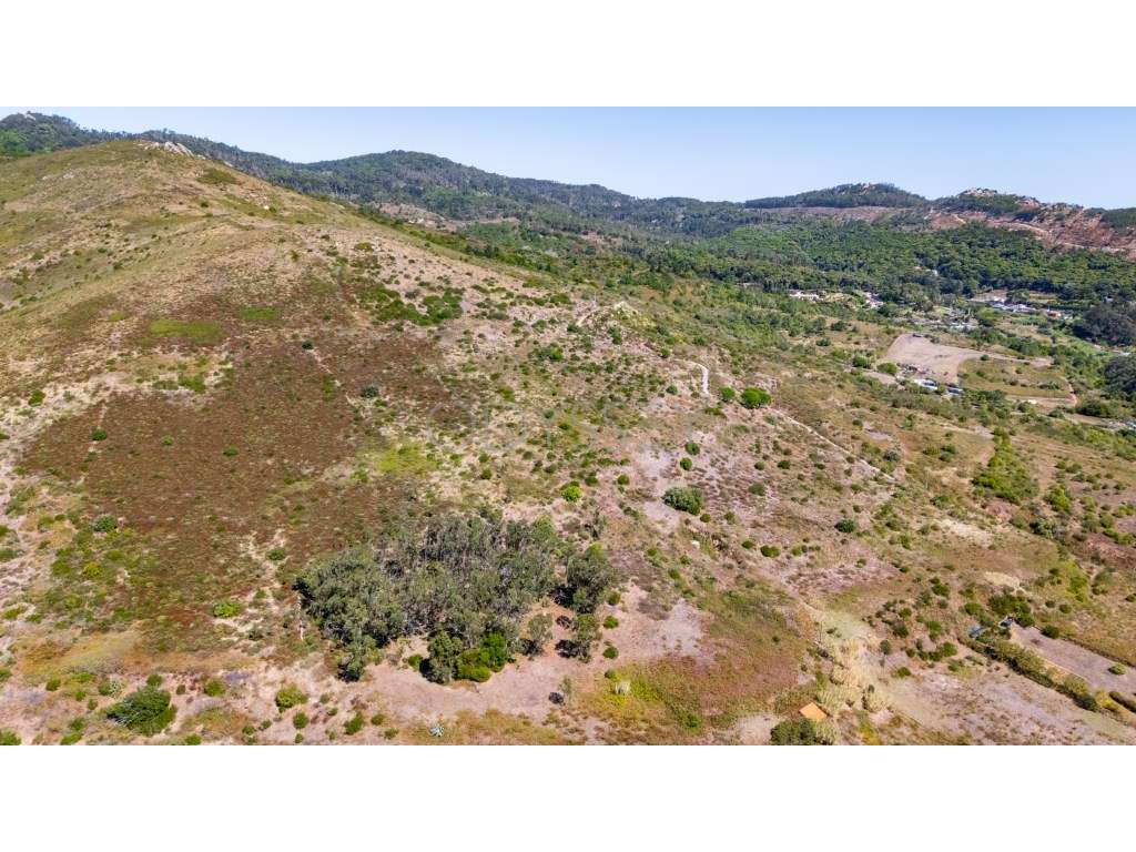 Terreno Rústico à Venda - Fontainhas, Alcabideche (Cascais)-19