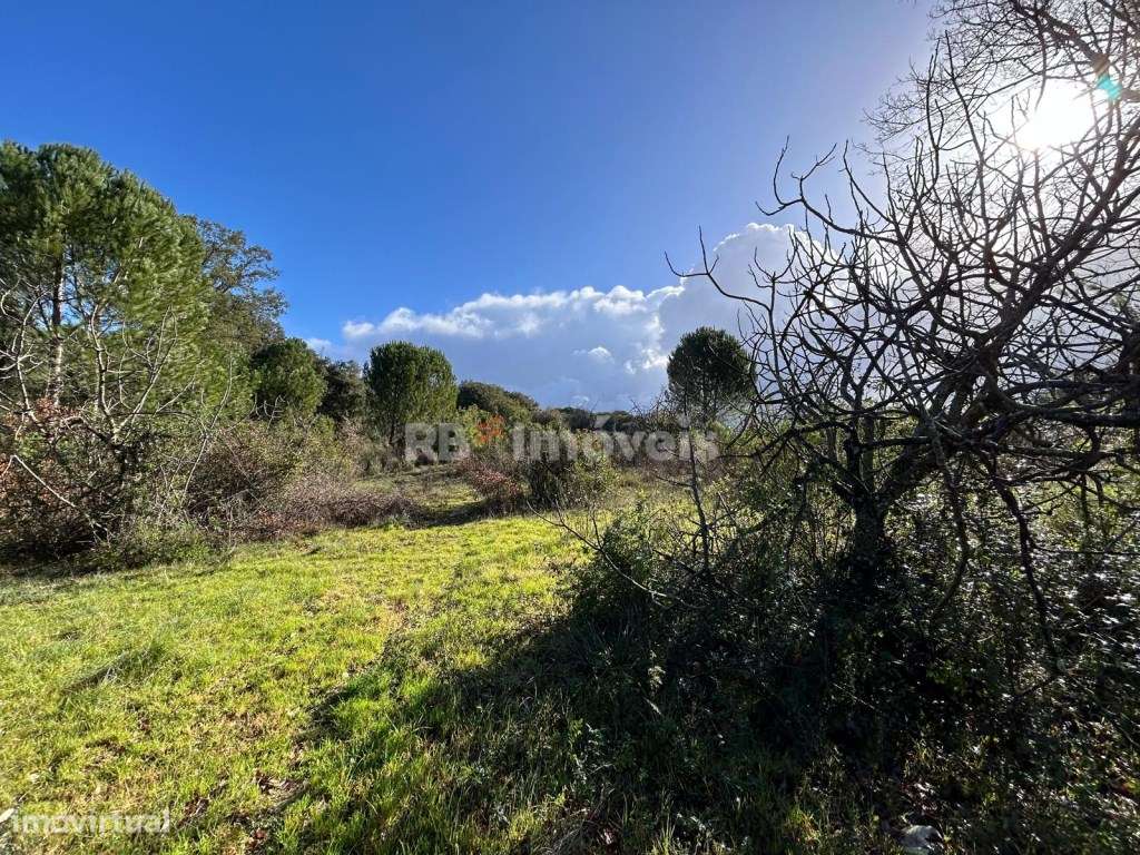 Terreno rústico com 7120m2 - Corujo, Tomar - Grande imagem: 4/43