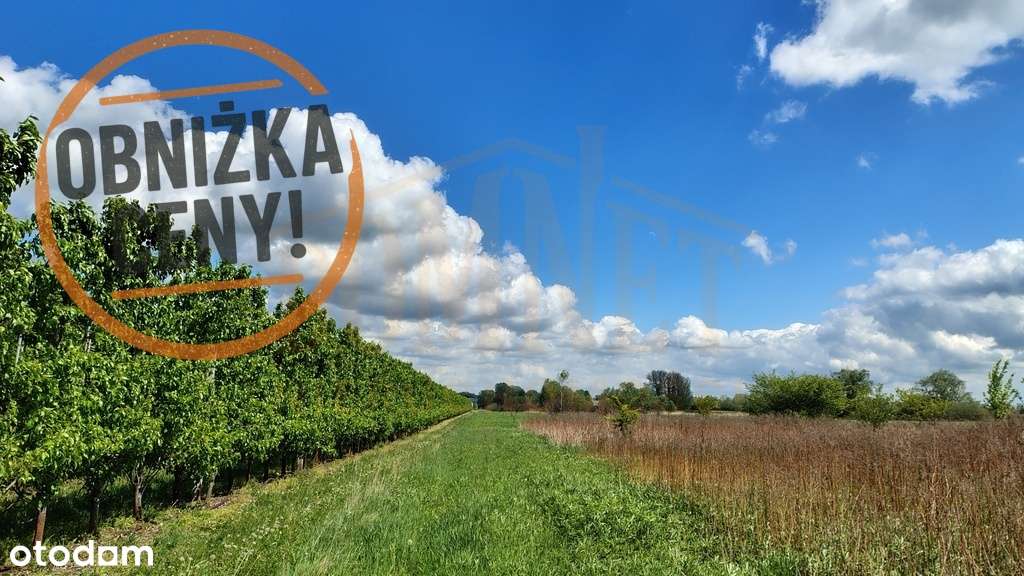 Okazja Gm. Konstancin działka rolna  3000m-0