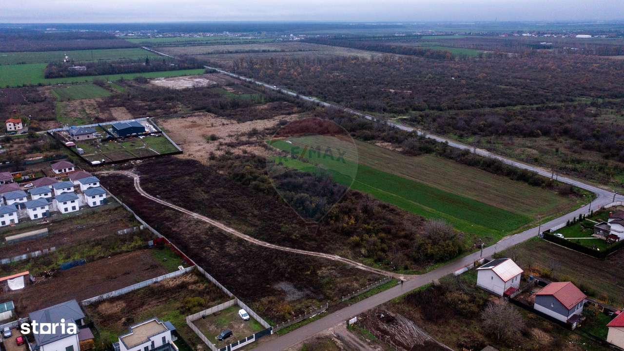 Vanzare teren intravilan 10.000mp Afumati - Strada Teiului-7