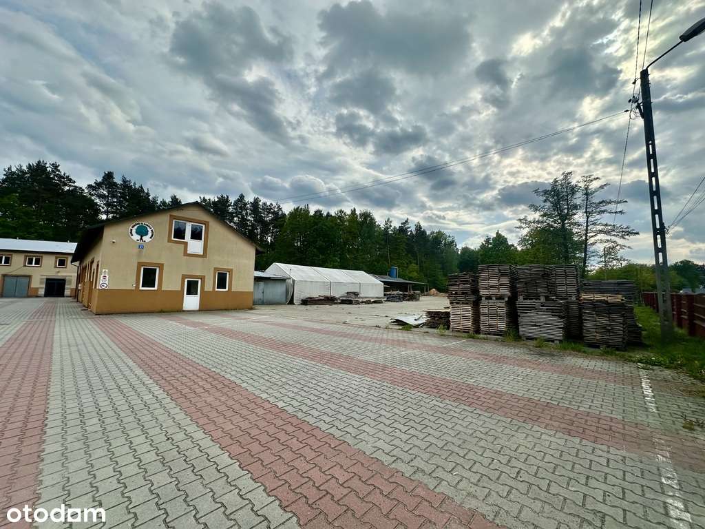 Sprzedaż: obiekt produkcyjno-magazynowy, Dzikowiec - Pełny obrazek: 5/10