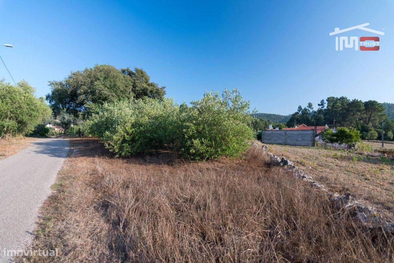 TERRENO RUSTICO COM AREA DE 2140 M2 COM OLIVAL EM BOUCEIROS PORTO D... - Grande imagem: 5/7