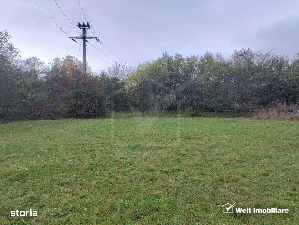 Teren intravilan in Padureni - Chinteni, 3200 mp, intre case - Imagine principală: 3/3