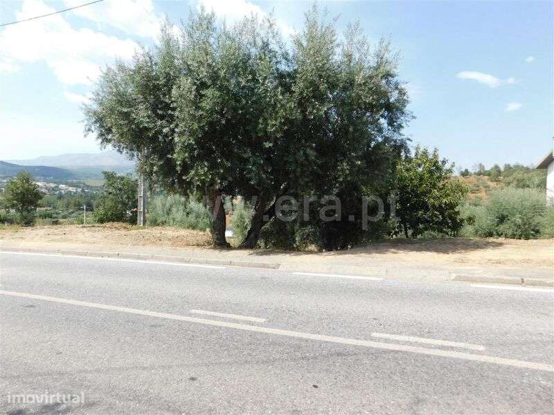 Terreno / Fundão, Alcaria - Grande imagem: 5/5