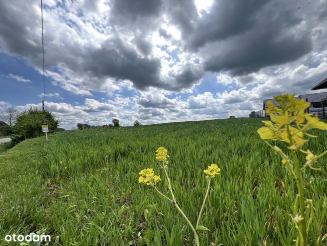 Działka z widokiem na zamek-Brzeźno