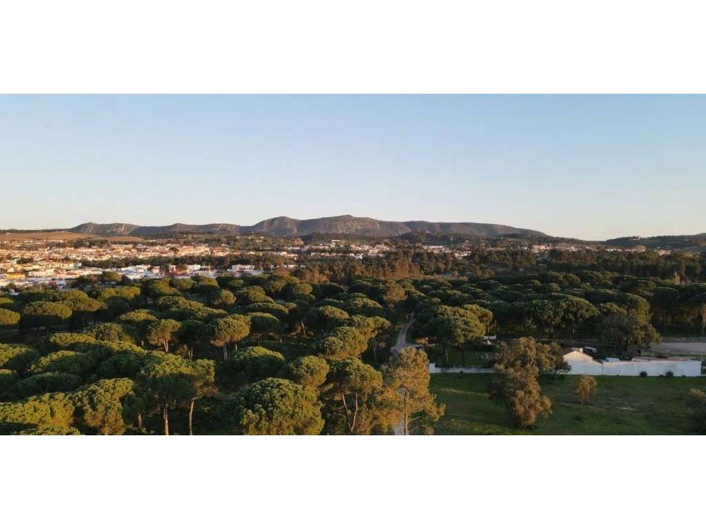 Terreno com 32 750m2 com vista Serra Arrabida perto Picão em Azeitão - Grande imagem: 3/60