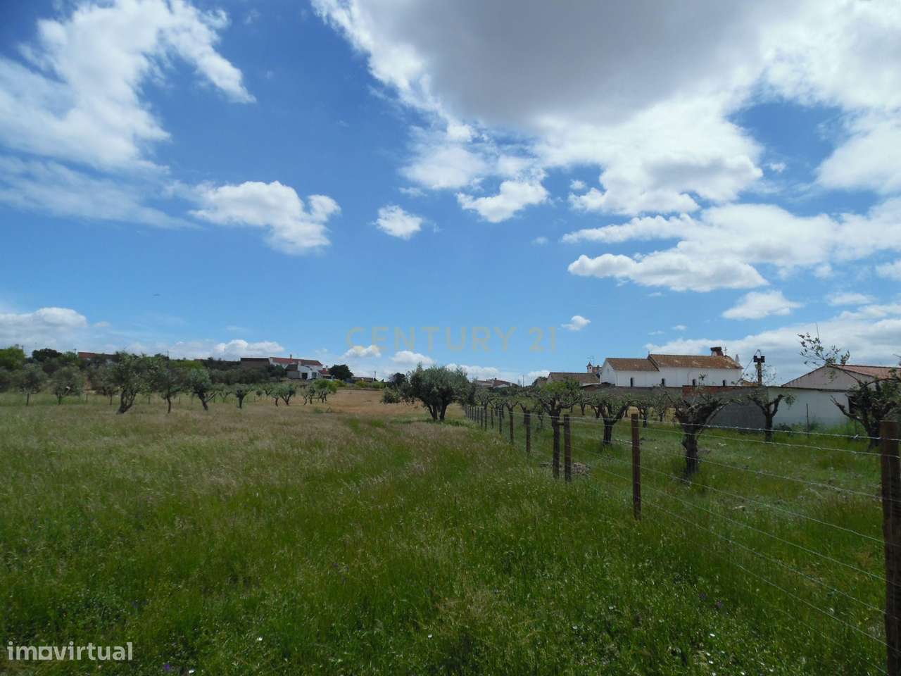 Quinta em Capelins,  Alandroal - Évora,  Oportunidade Única-45