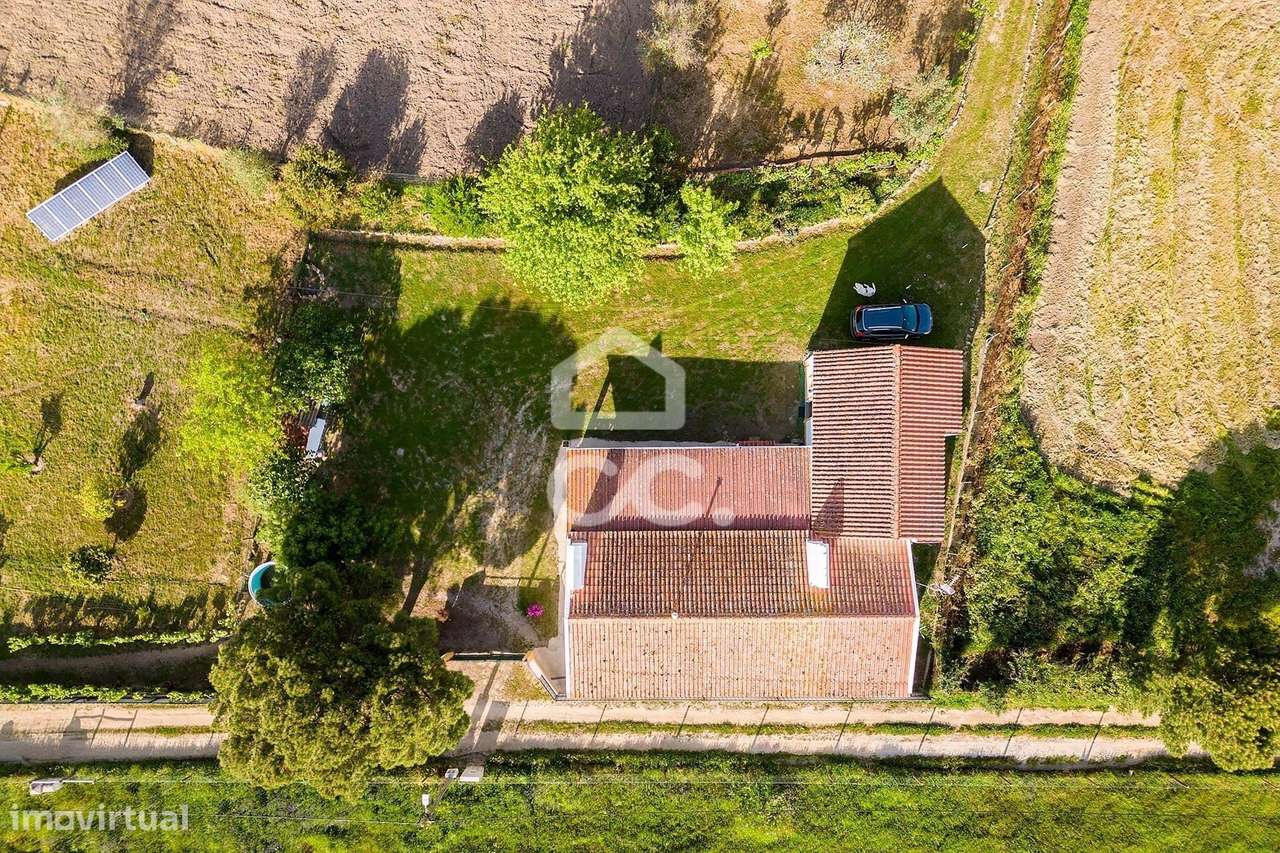 Quinta de 9250m2 c/ Moradia T4 térrea, anexo e armazém | Azaruja-57