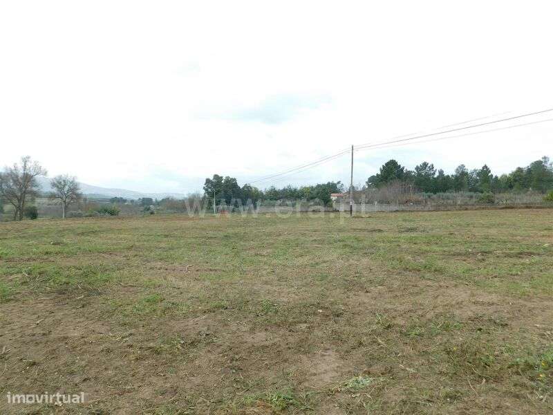 Terreno / Celorico da Beira, Carrapichana - Grande imagem: 4/12