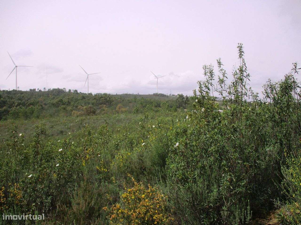 Terreno - Grande imagem: 4/5