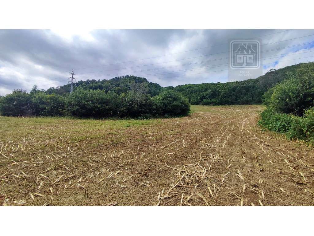 VENDA de TERRENO RÚSTICO - São Roque, Ponta Delgada, Ilha de São Mi... - Grande imagem: 4/33
