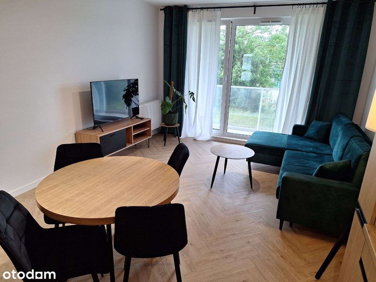 Przytulne mieszkanie 3 pokoje na wynajem - Pełny obrazek: 3/15