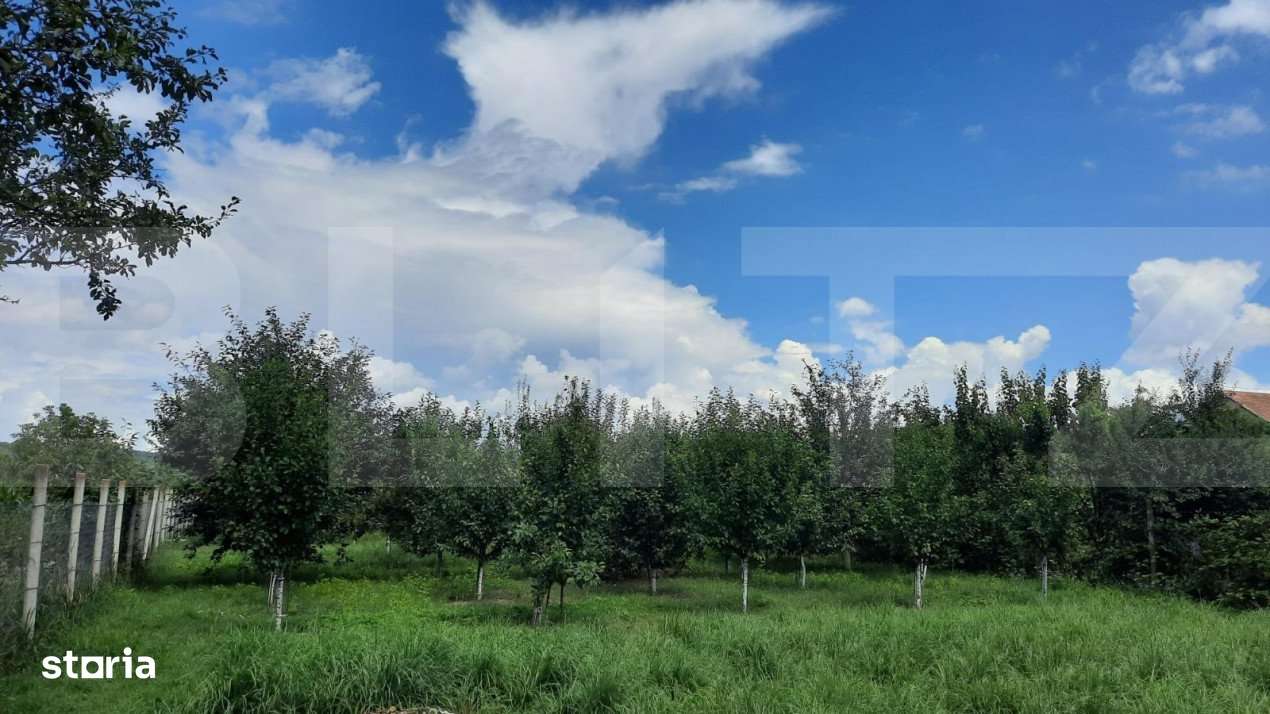 Casa individuala, 268 mp utili, 2145 teren, livada, Turda - Imagine principală: 4/19