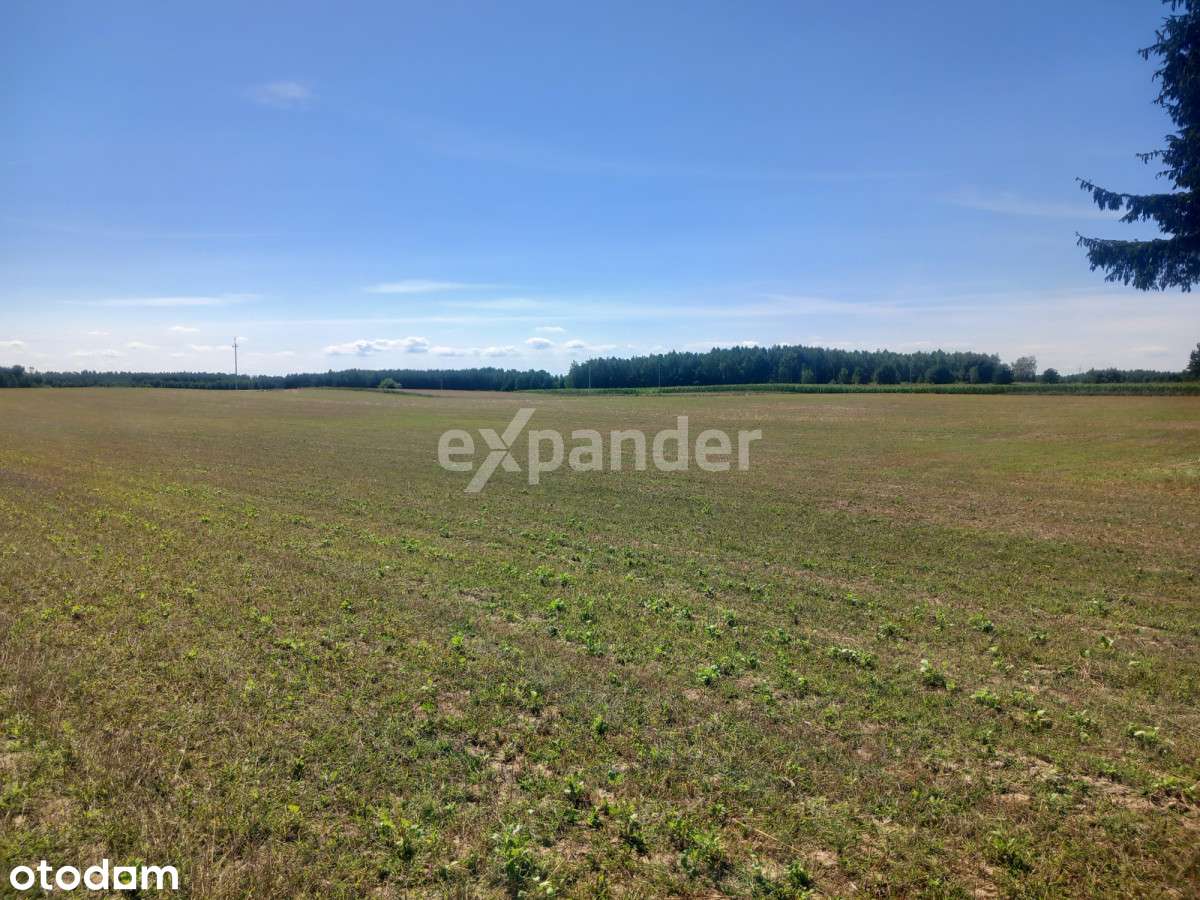 Rogowo Działka 1,24 HA i Inne Idealne Położenie - Pełny obrazek: 4/9