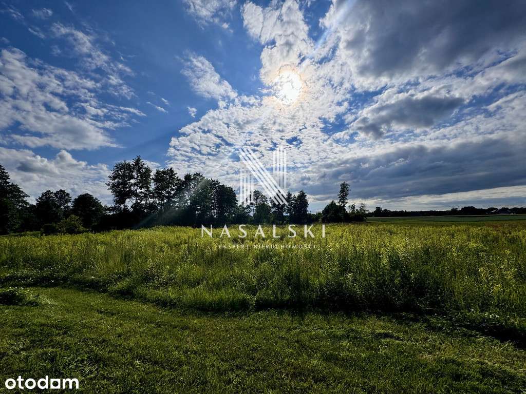 NIEMCZ / DZIAŁKA BUDOWLANA / 779 M2 - Pełny obrazek: 2/3