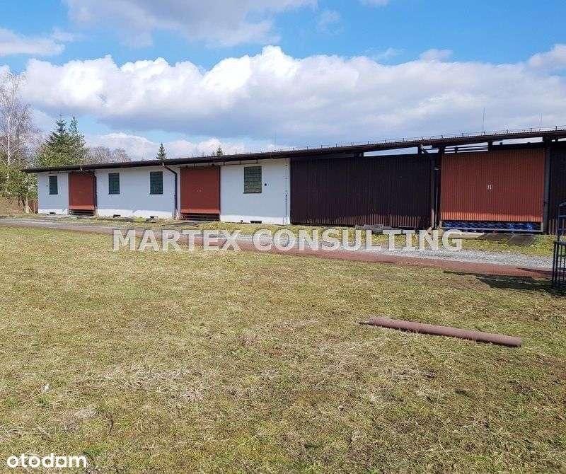 Na sprzedaż obiekt, działka 4014 mkw, hala 368 mkw - Pełny obrazek: 4/6