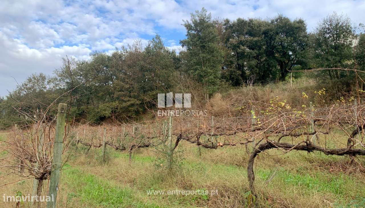 Venda de Terreno de construção com 5400m², Deocriste, Viana do Cast - Grande imagem: 5/30