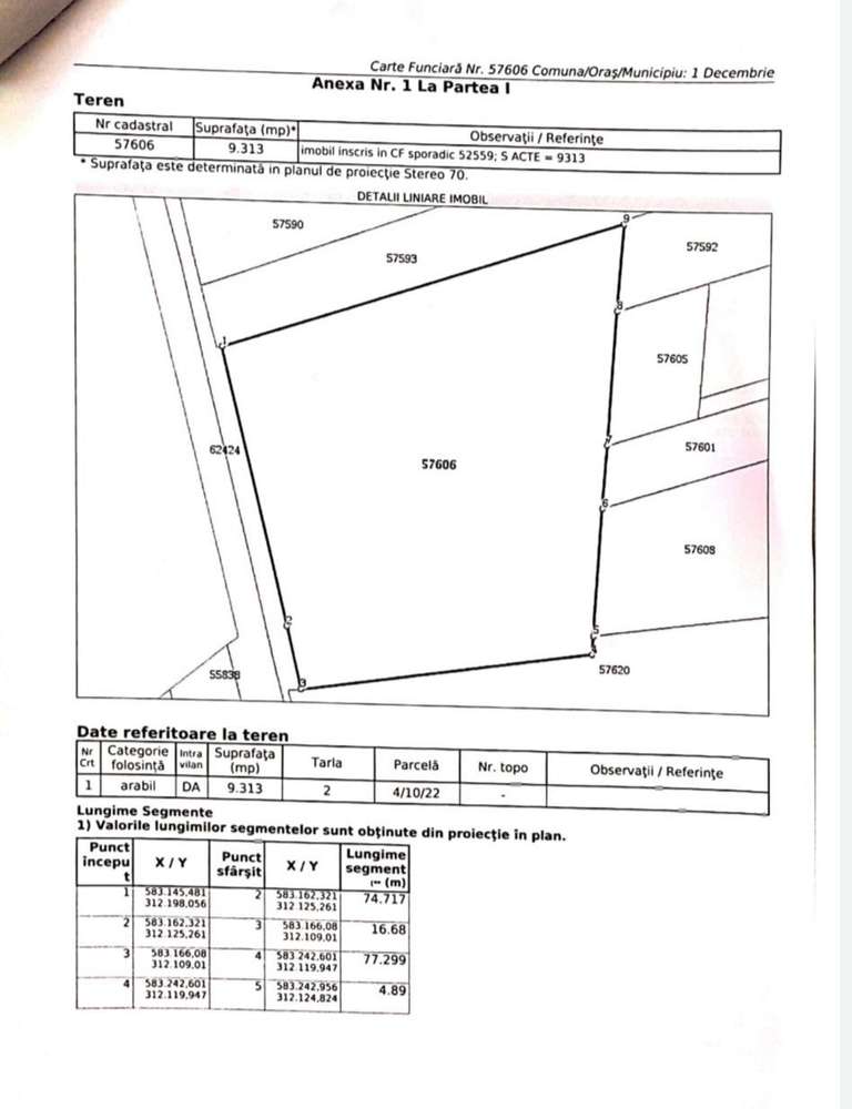 Teren intravilan 9313 mp in comuna 1 Decembrie - Ilfov - Imagine principală: 4/4