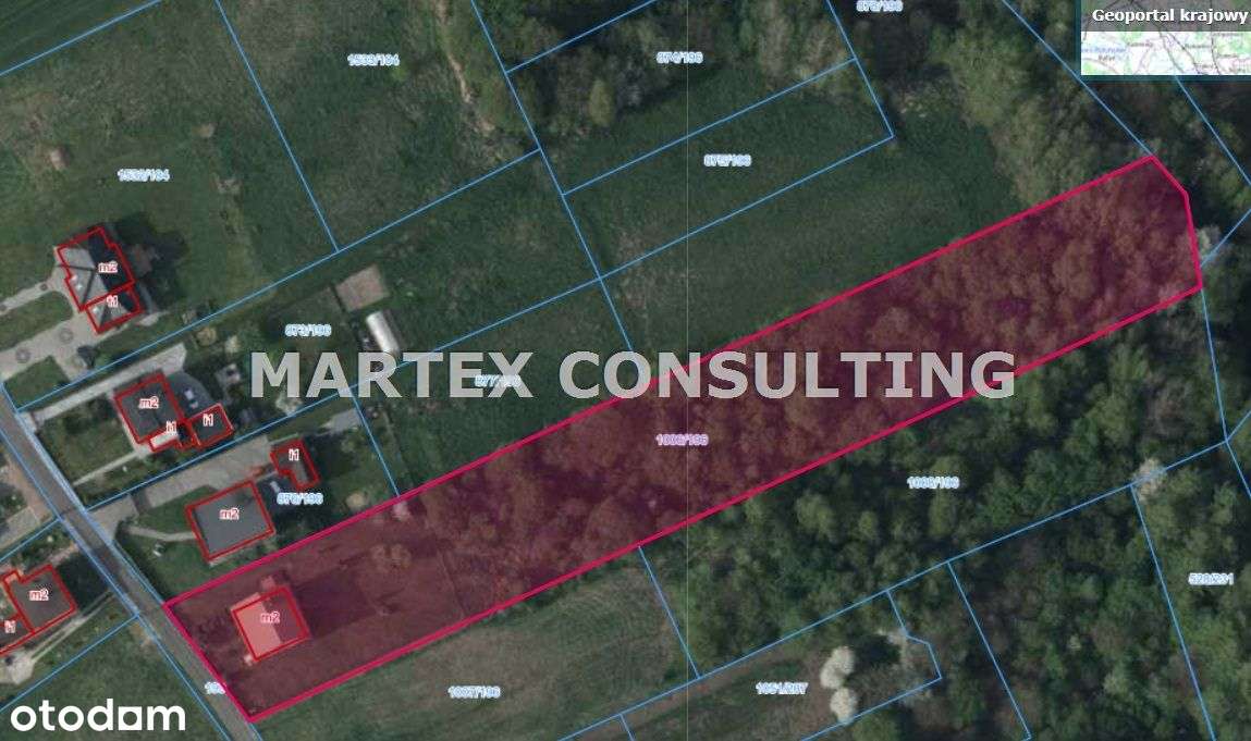 Dom, 220 m², Pszów-1