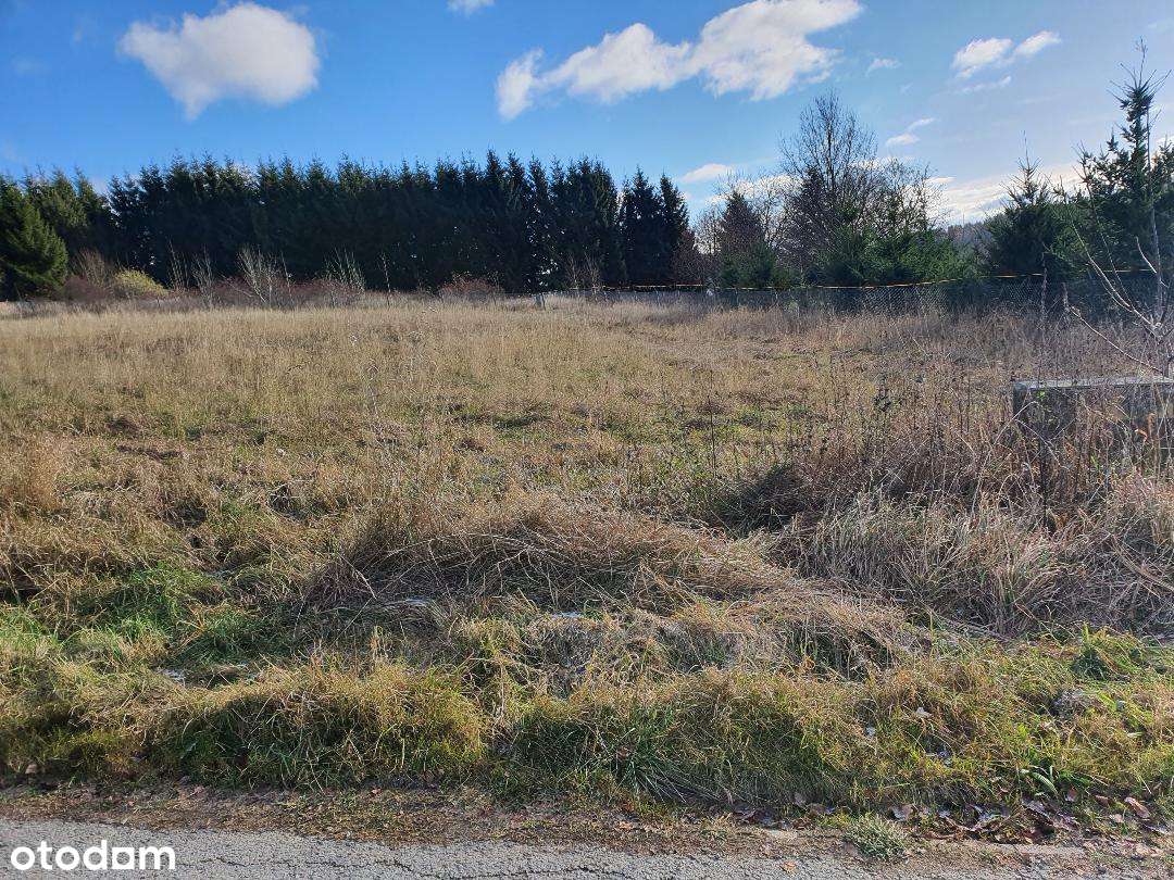 Dzialka budowlana Góry Sowie, sprzedaż od prywatnej osoby - Pełny obrazek: 3/5