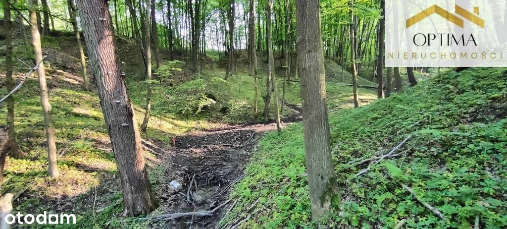 Atrakcyjna działka widokowa z lasem-4