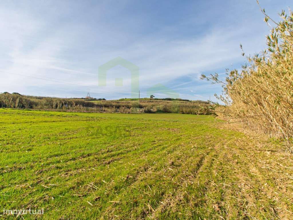 Vende Terreno - Ericeira 13 km, A Casa das Casas - Grande imagem: 4/11