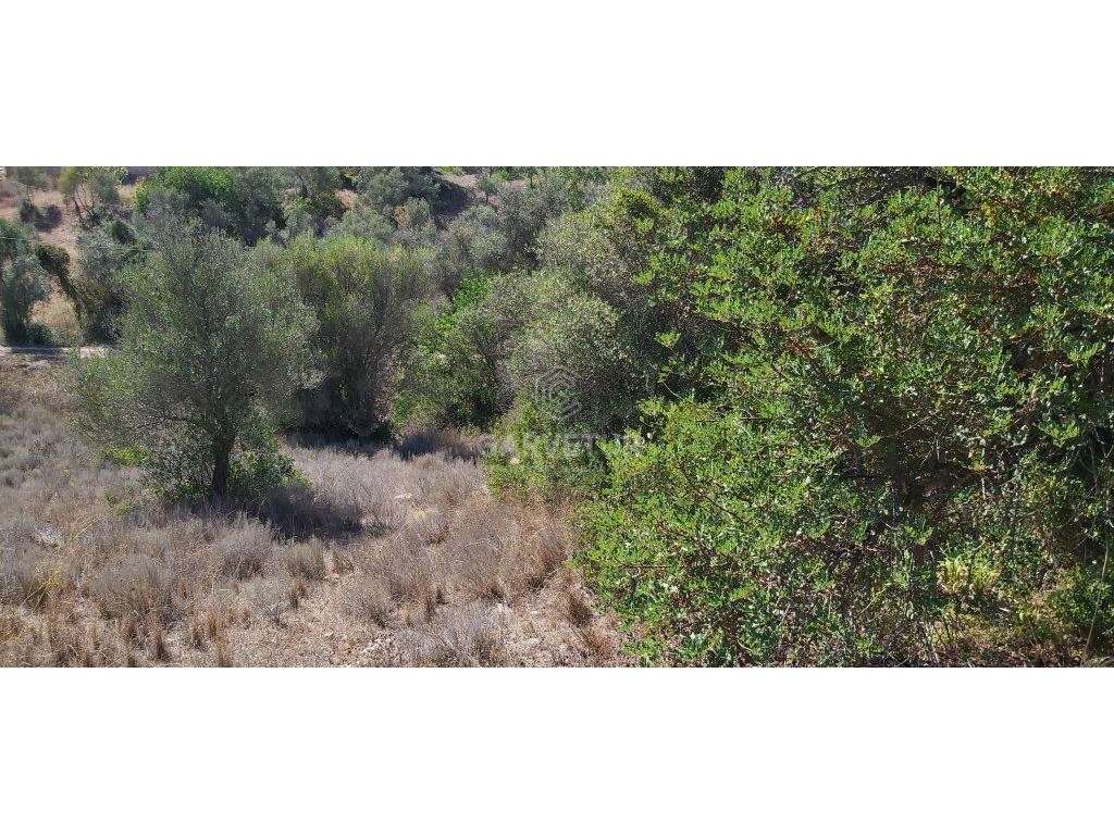 Terreno agrícola, várias culturas, Paderne, Albufeira, Algarve - Grande imagem: 4/27