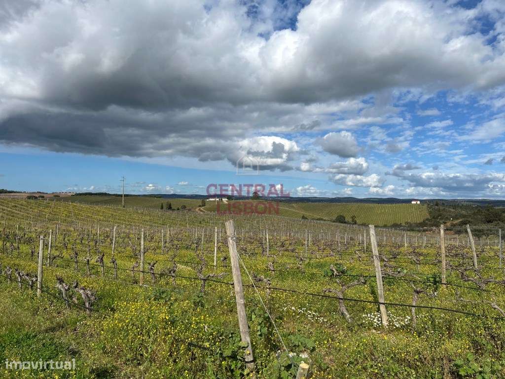 Quinta do Barranco, Alandroal - Grande imagem: 4/11