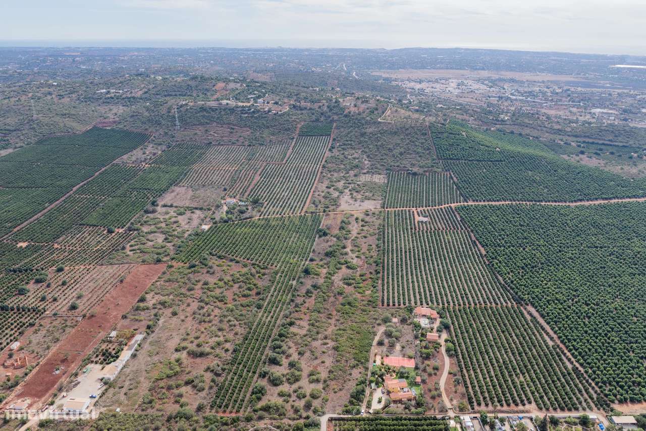 2 Terrenos Rústicos à Venda em Algoz - Grande imagem: 5/12