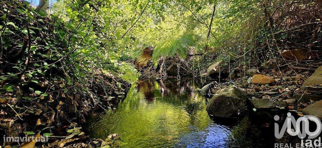 Terreno misto em Monchique - Grande imagem: 4/30