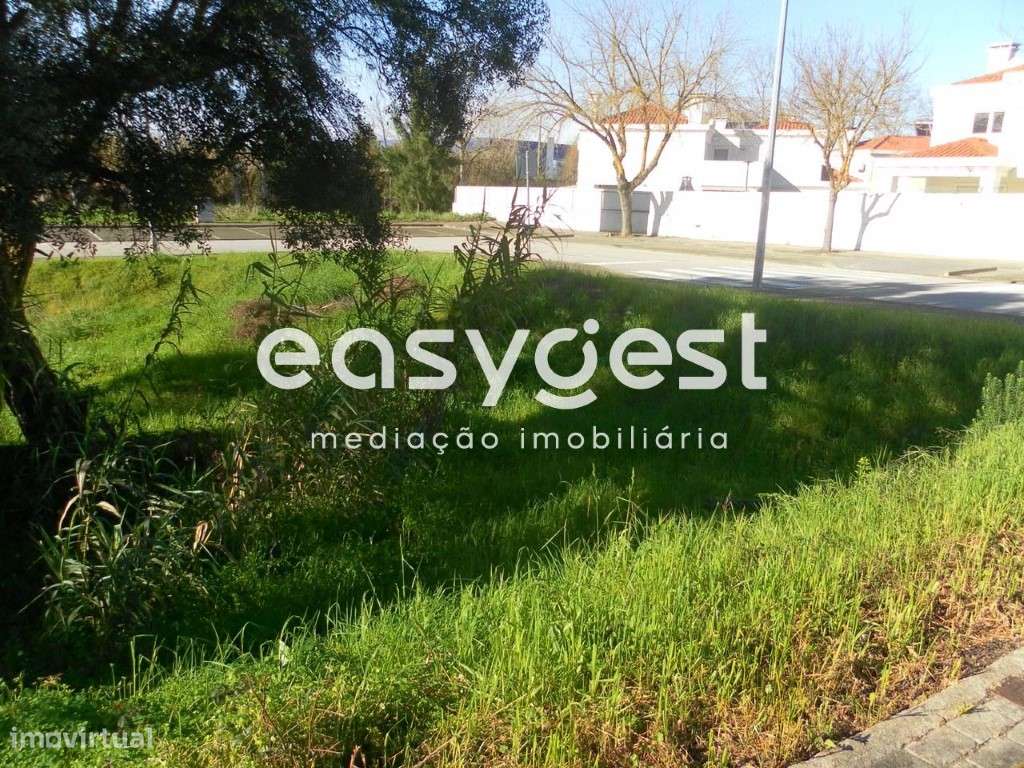 Lote de Terreno Urbano 253m2 para Moradia - Entroncamento - Grande imagem: 5/8