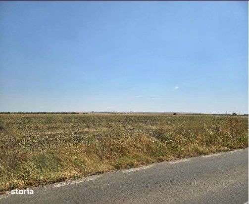 Teren extravilan Smardioasa, cota 1/6, ID: R2688427 - Imagine principală: 1/9