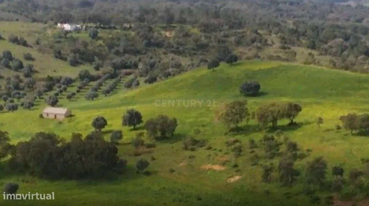 Terreno c/ Projeto Aprovado para Hotel - Grande imagem: 5/10