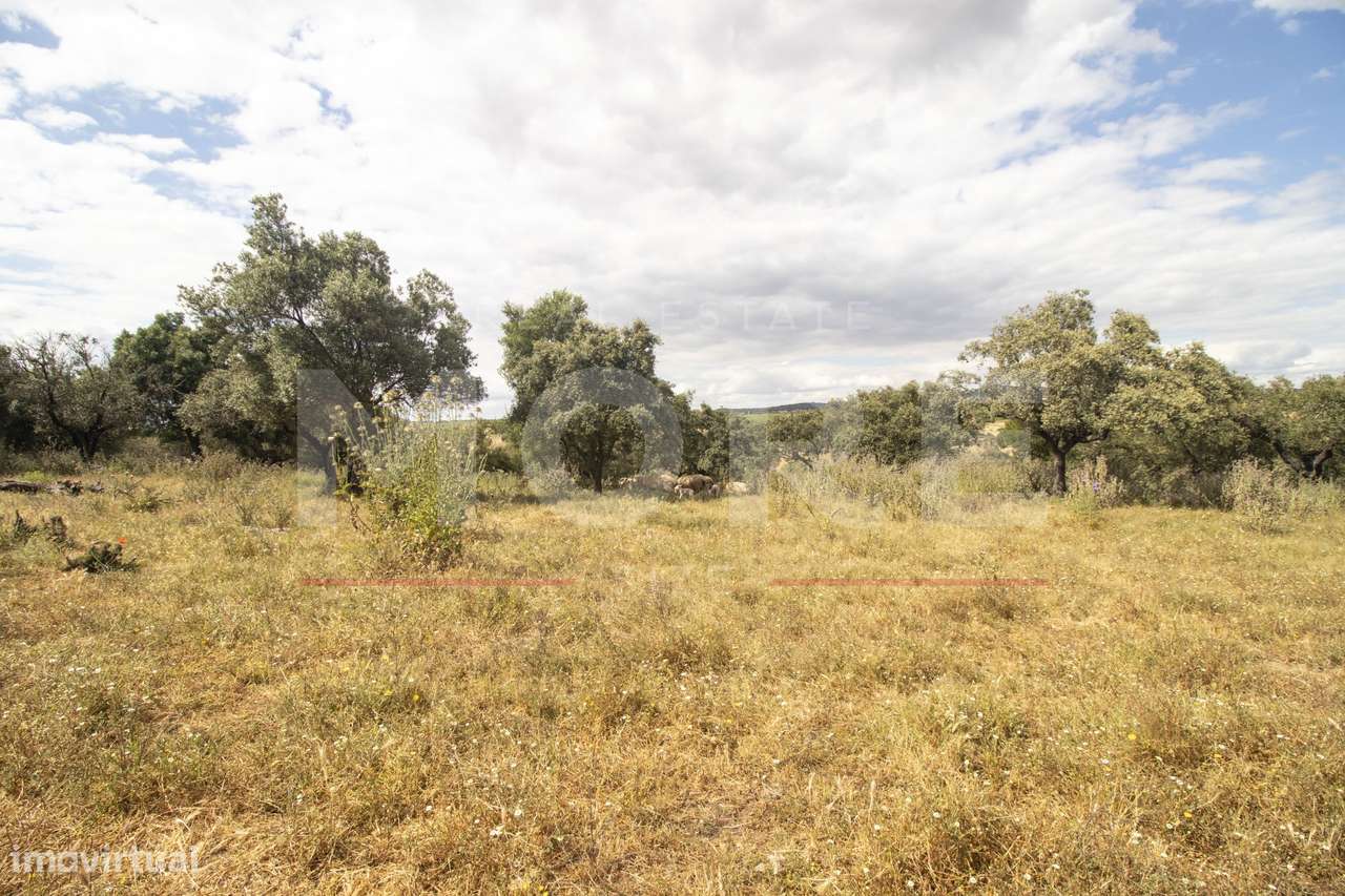 Herdade - Alvito-51