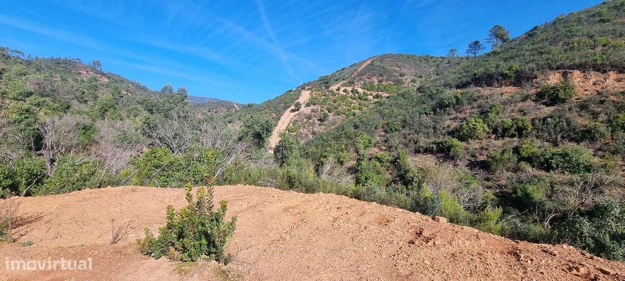 Terreno rústico Monchique Vale das Canas - Grande imagem: 4/11